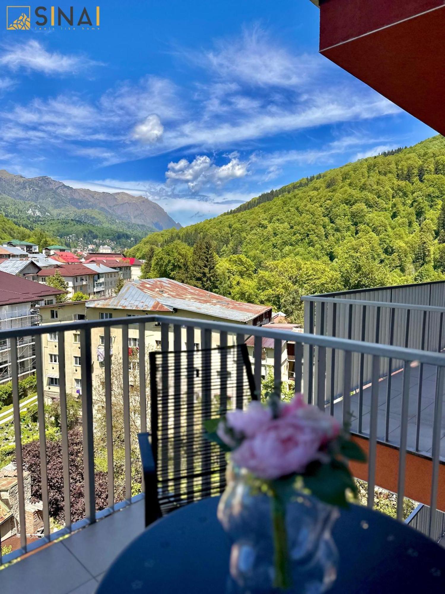Sinai Aph Apartments Sinaia Exterior photo